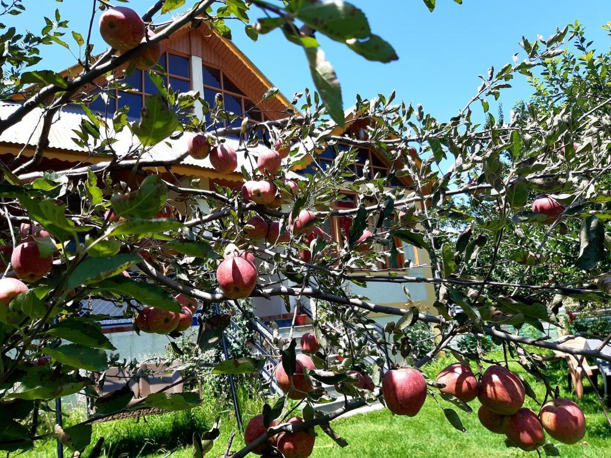 Heavenly Daze Cottage Manāli Buitenkant foto